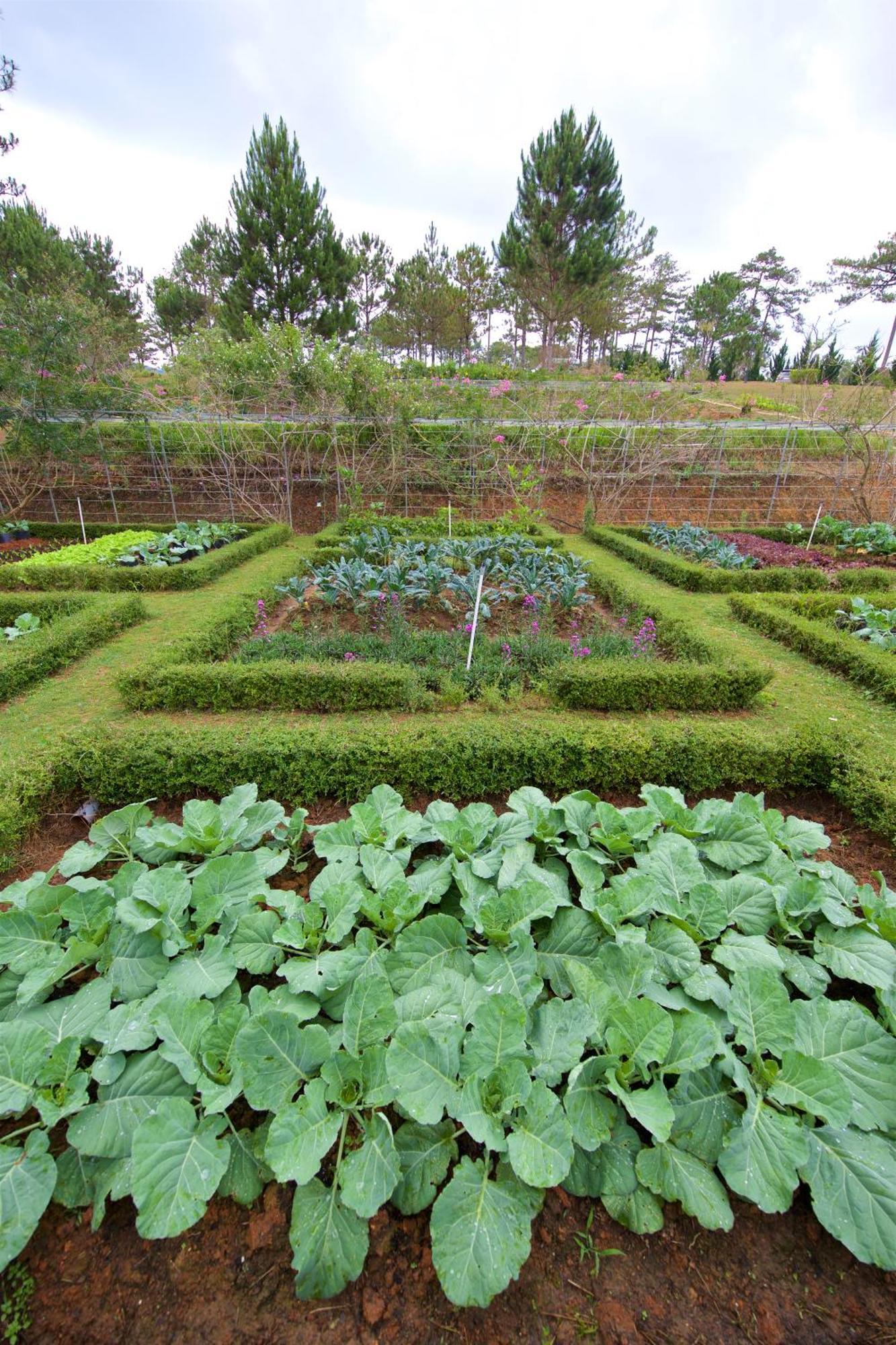 Binh An Village Resort Da Lat Esterno foto